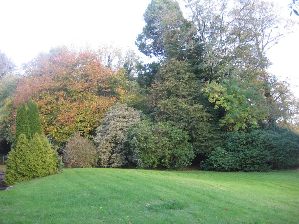 Hotel Glebe House Mohill Esterno foto
